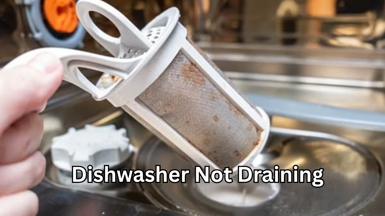 Dishwasher Not Draining: A Frustrating Problem With Reliable Solutions