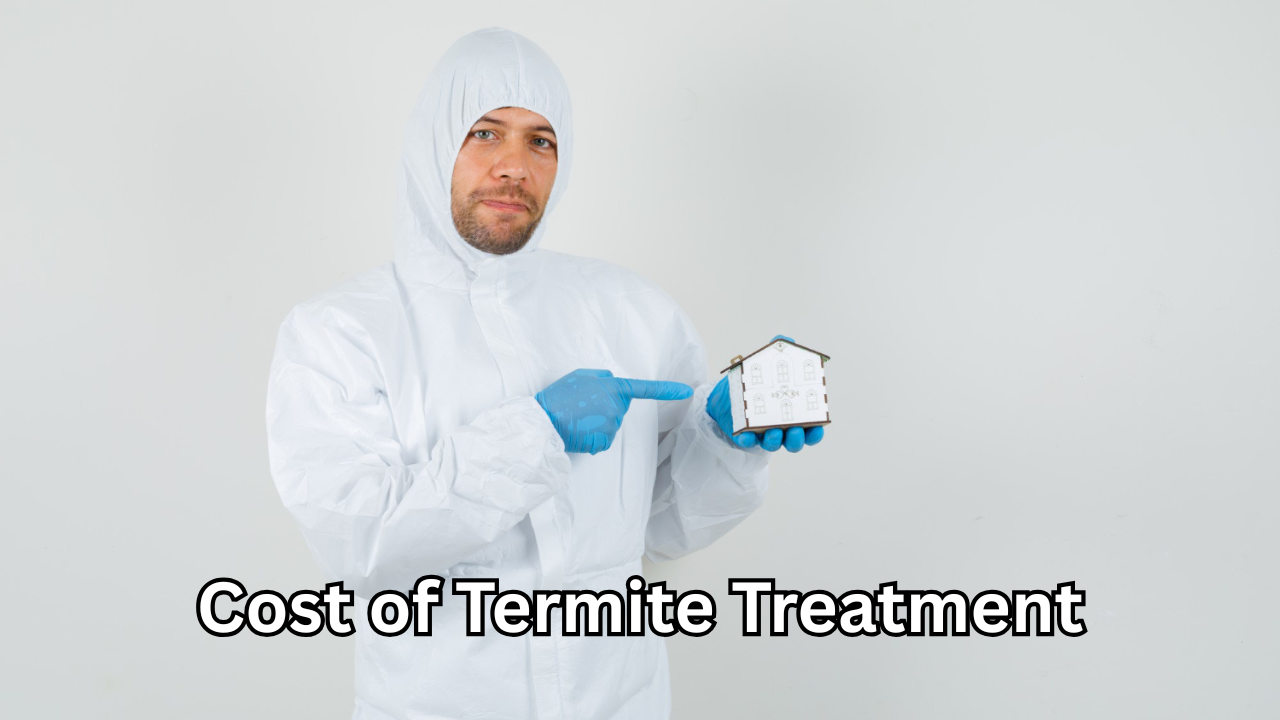 Cost of Termite Treatment: Complete Homeowner Guide to Pricing, Factors, and Long-Term Protection