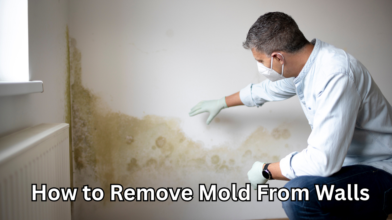 How to Remove Mold From Walls: A Complete Professional Guide to a Healthier Home